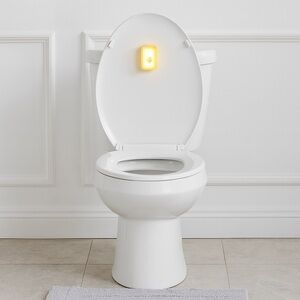 Over The Hill Potty Night Light